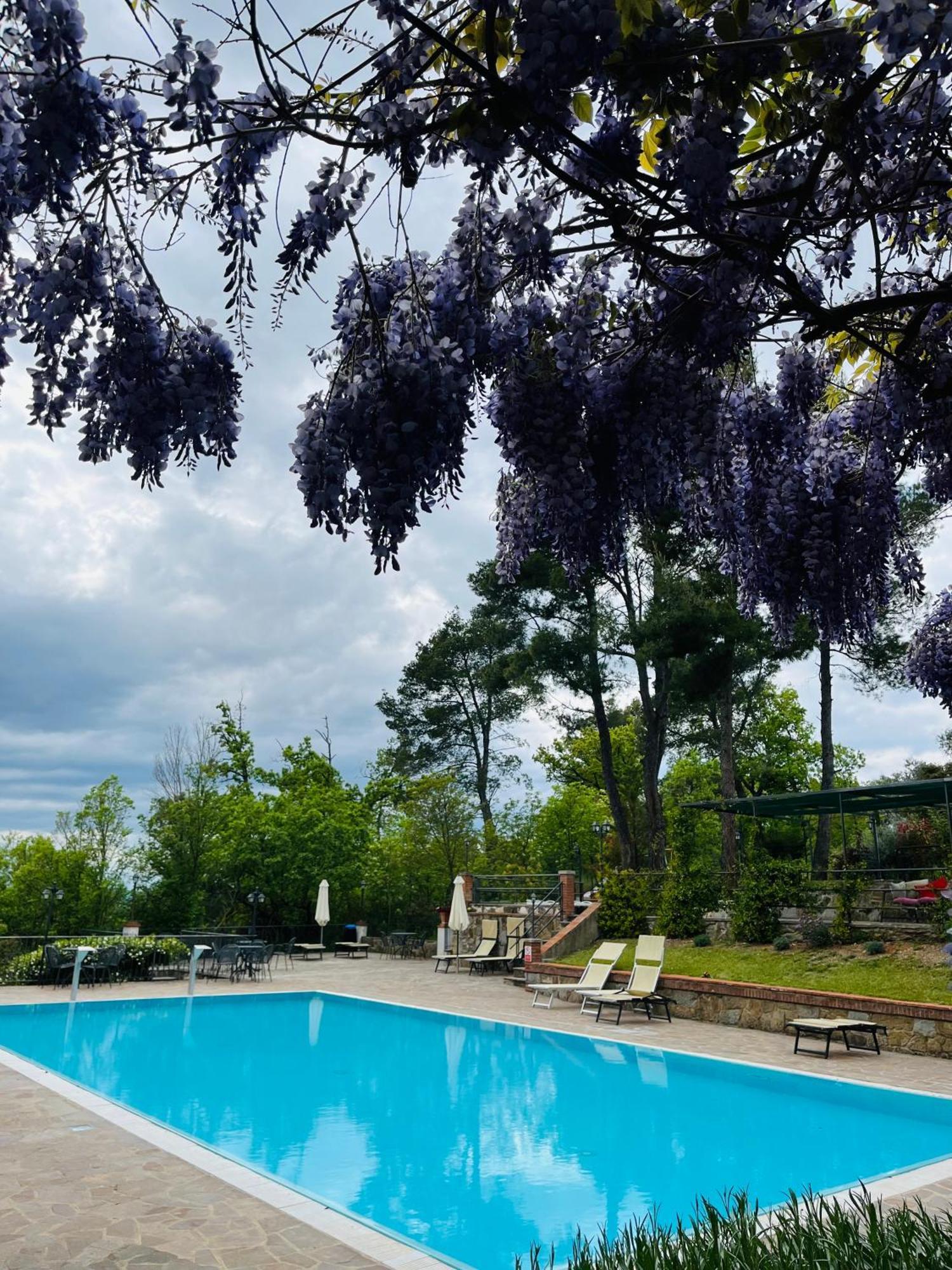 Villa Schiatti กอร์โตนา ภายนอก รูปภาพ